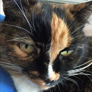 Meet your Posher, Kat